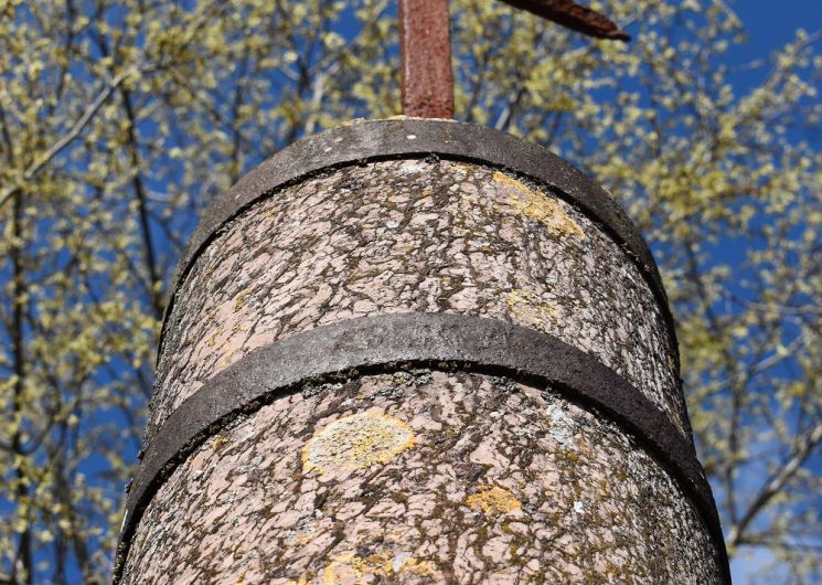 L’ancien quartier du Masbourguet et le bourg St-Firmin à Uzès - Avril en Balade 2026_Uzès
