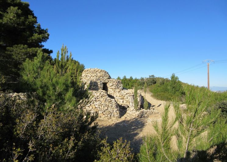 Avril en balade - Aramon