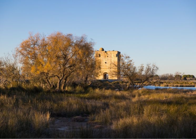 Visites guidées de la Tour Carbonnière - Office de Tourisme Terre de Camargue_Saint-Laurent-d'Aigouze