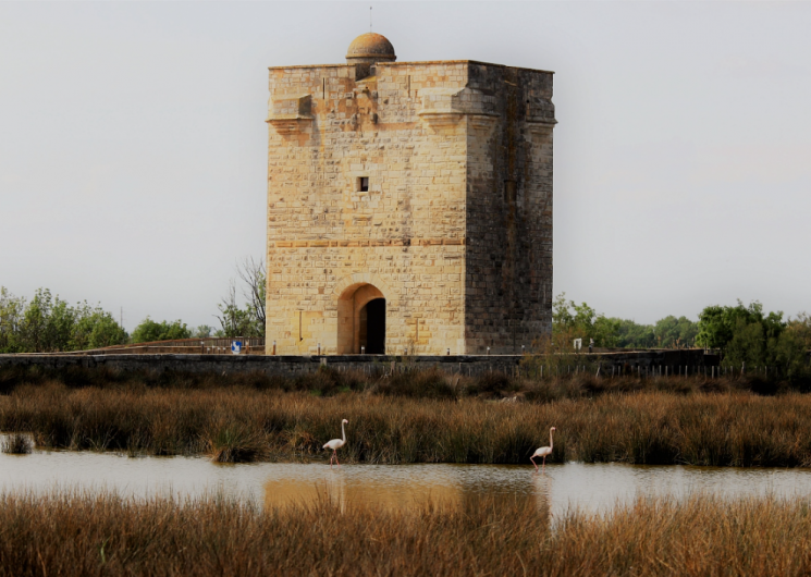 Visites guidées de la Tour Carbonnière - Office de Tourisme Terre de Camargue_Saint-Laurent-d'Aigouze