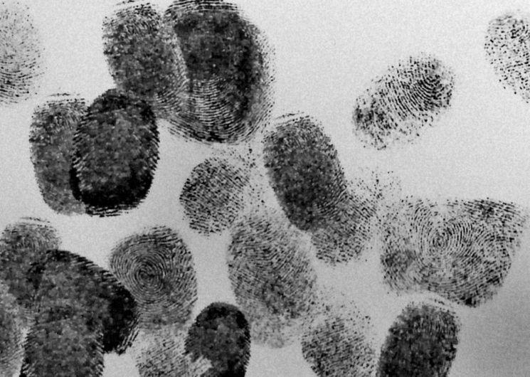 Avril en Cavale : le vol du siècle - Avril en balade 2026