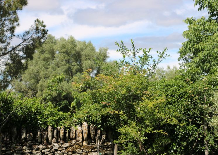 Avril en balade - La ferme des clos d'Uzès