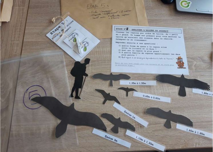 Cluedo des rapaces_Villeneuve-lez-Avignon