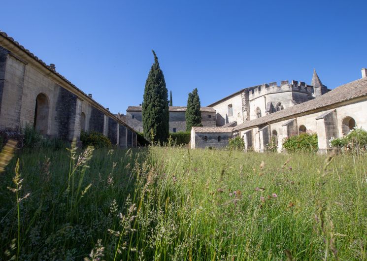 Exposition «Songs from the distorted south»_Villeneuve-lez-Avignon