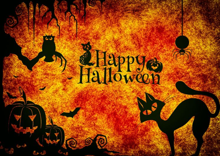 Course d’orientation spéciale Halloween_Castelsarrasin