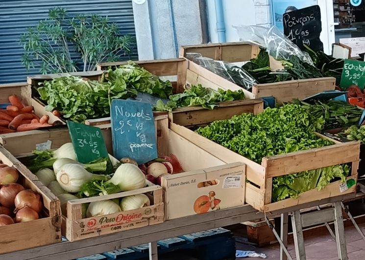 Marché hebdomadaire de St Christol lez Alès_Saint-Christol-lès-Alès