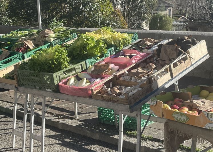 Les Marchés de Boisset-Gaujac_Boisset-et-Gaujac