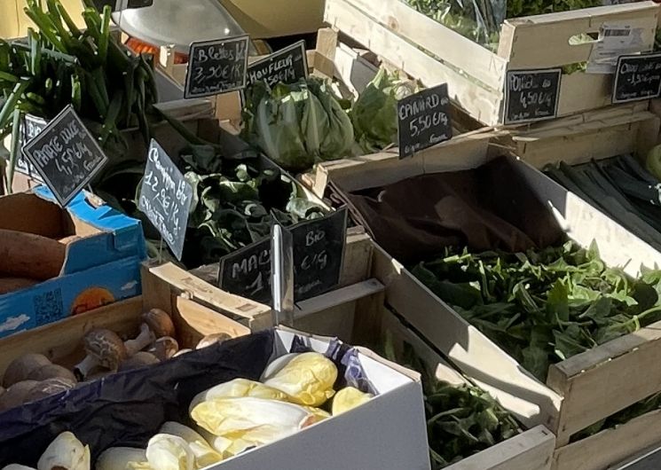 Marché de St Martin de Valgalgues_Saint-Martin-de-Valgalgues