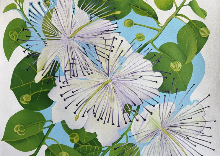 Exposition dessins -Butinerie - Perrine PÉe