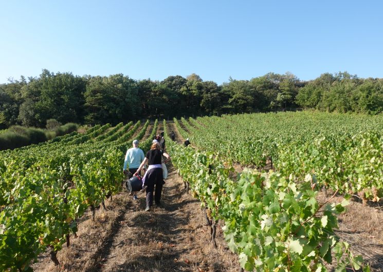Entre ciel et terroir - Avril en Balade 2026_La Bastide-d'Engras