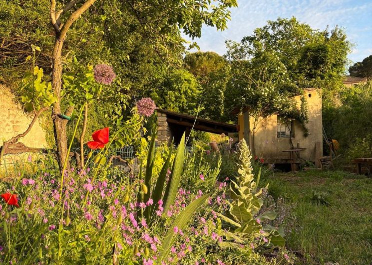 Balade botanique - Avril en balade 2026