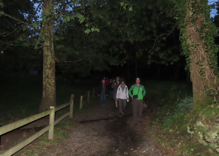 Randonnée pédestre accompagnée : 