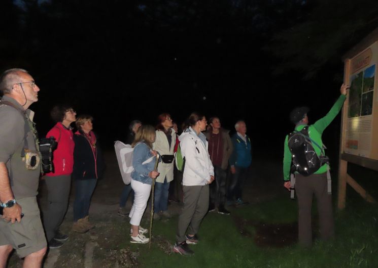 Randonnée pédestre accompagnée : 