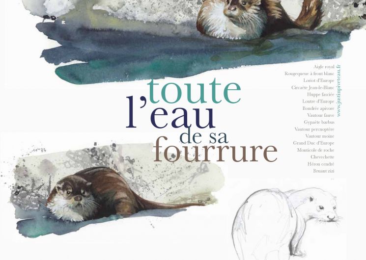 Exposition -Toute l'eau de sa fourrure_Cendras