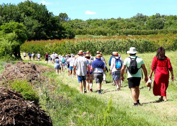 Vin Côté Cours 2026_Saint-Nazaire-des-Gardies