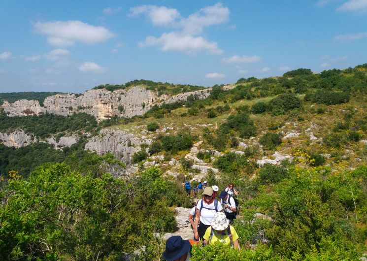 Balade insolite à la découverte des plantes sauvages comestibles à l’ermitage de Collias