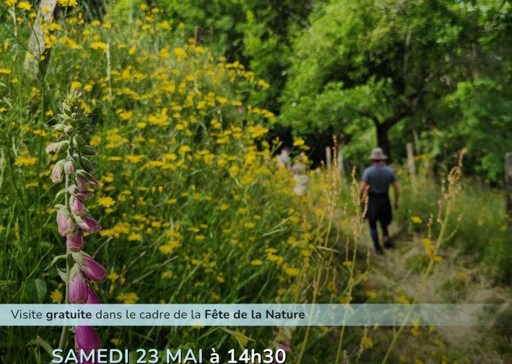 Fête de la nature - Rando Nature à Trébas_Trébas