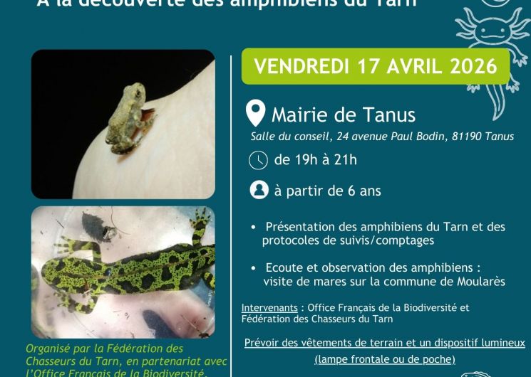 Sortie nocturne amphibiens