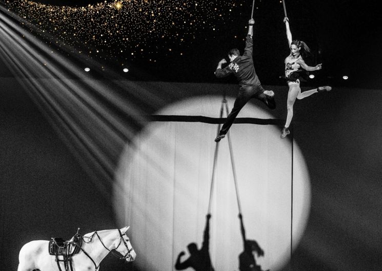 Spectacle équestre