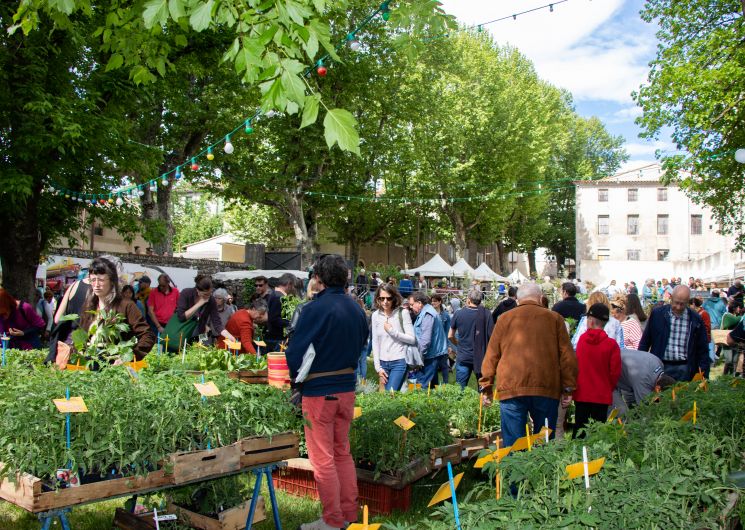 La Main Verte_Le Vigan