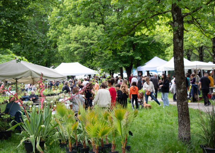 La Main Verte_Le Vigan