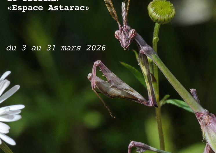 Exposition photos Paolo Magni_Seissan