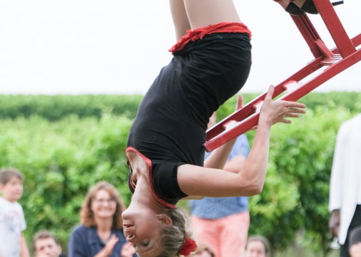 Vineart en Gascogne_Eauze