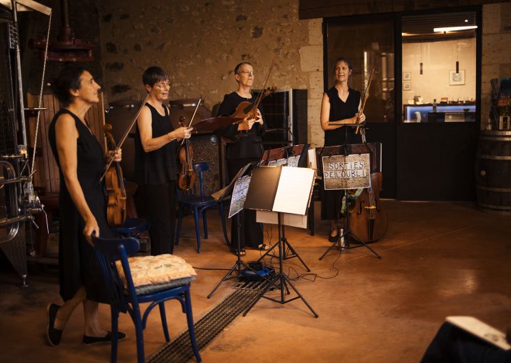 Vineart en Gascogne_Eauze