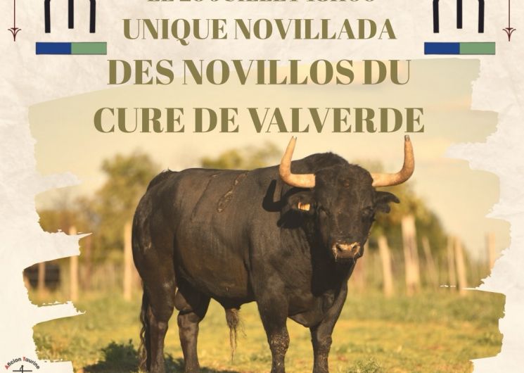 Novillada_Beaucaire