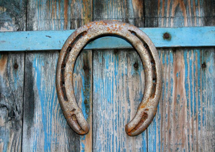 Visites guidées du Haras