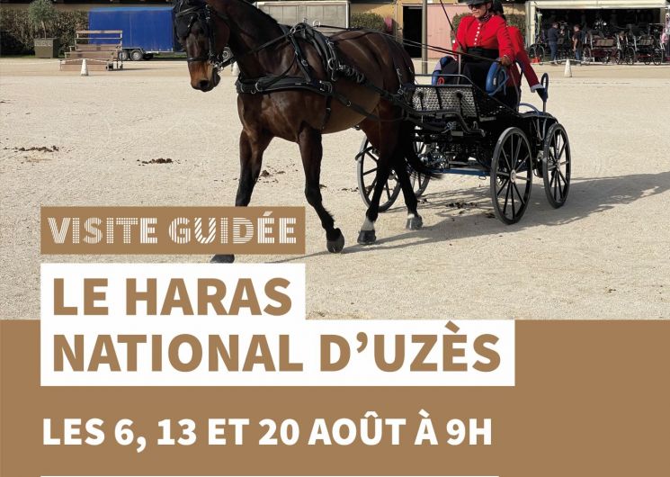 Visites guidées du Haras National d'Uzès - Uzès, Ville d'art et d'histoire_Uzès