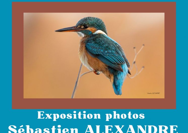 Exposition - Trésors de la Nature en Terre d'Argence_Jonquières-Saint-Vincent