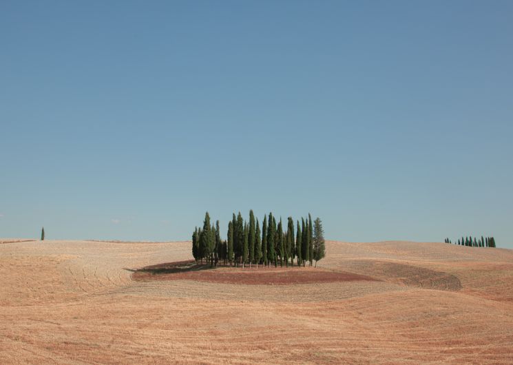 Exposition «Metamorphosis»_Villeneuve-lez-Avignon