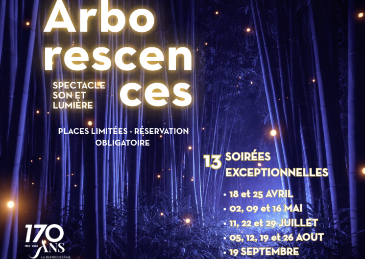 Nocturne à la Bambouseraie_Générargues