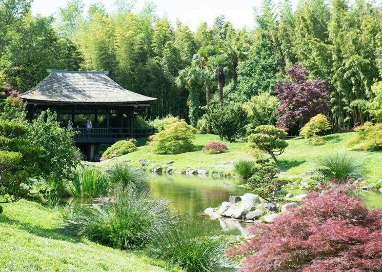 Nocturne à la Bambouseraie