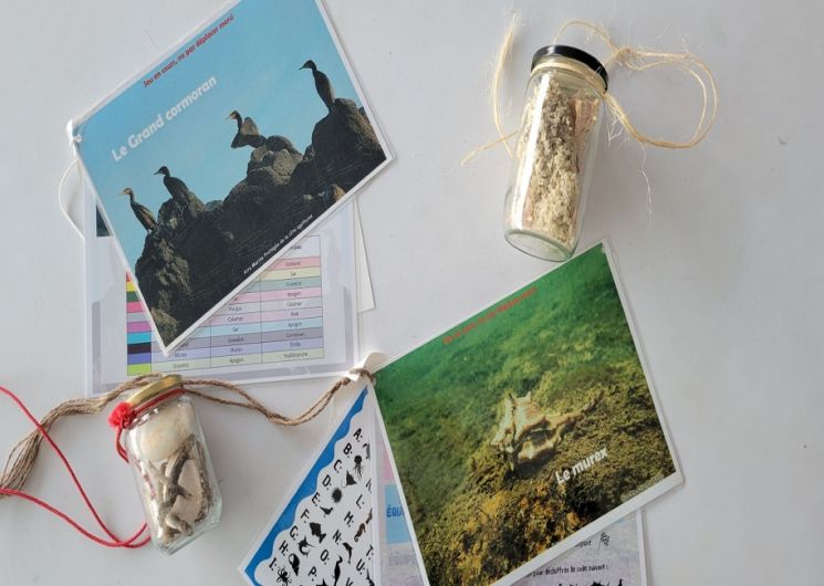 Jeu de piste sur la biodiversité_Le Cap d'Agde