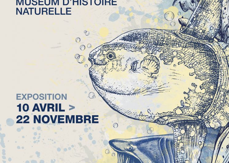 Eau, l'expo & l'Aqua-Museum_Nîmes