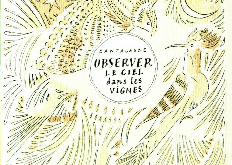 Balade ornitologique 19.04.2026 au domaine de Cantalauze