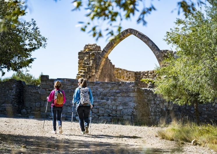 Balade gourmande en garrigue_Castelnau-de-Guers