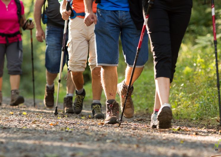 Randonnée pédestre