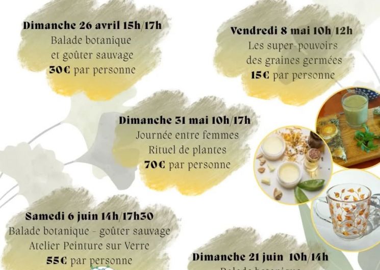 instants sauvages.jpg