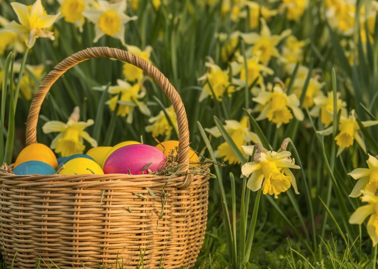 Chasse aux oeufs_Saint-Germier