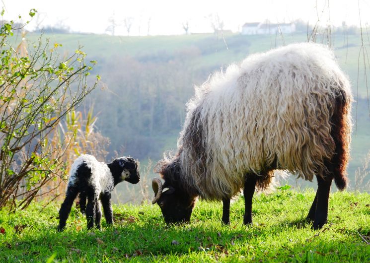 De Ferme en Ferme_Le Fossat