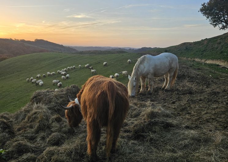 De Ferme en Ferme_Le Fossat