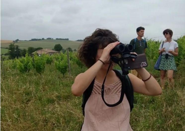 Balade Ornitho' dans les vignes - Enclos des Braves 2