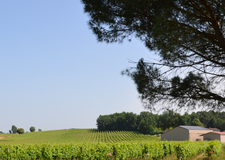 Domaine La Croix des Marchands