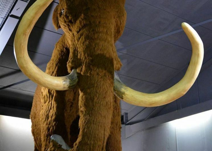 FIRA : Festival de la Randonnée en Cévennes