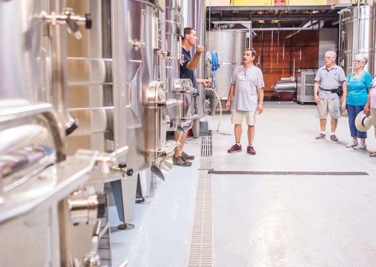 Visite cave - Domaine Vayssette