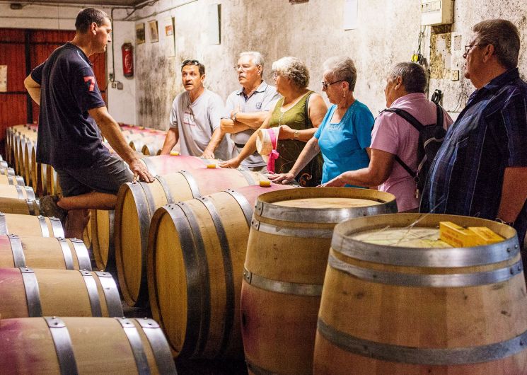 Visite - Domaine Vayssette
