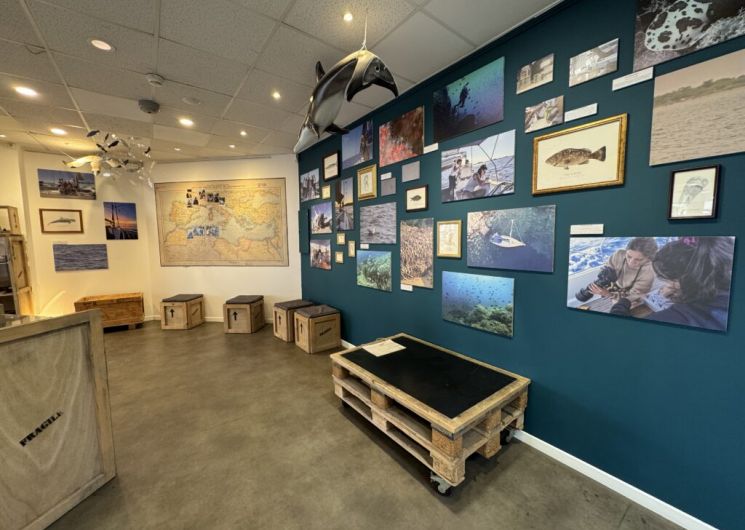 Exposition : Au fil de nos expéditions_Le Grau-du-Roi